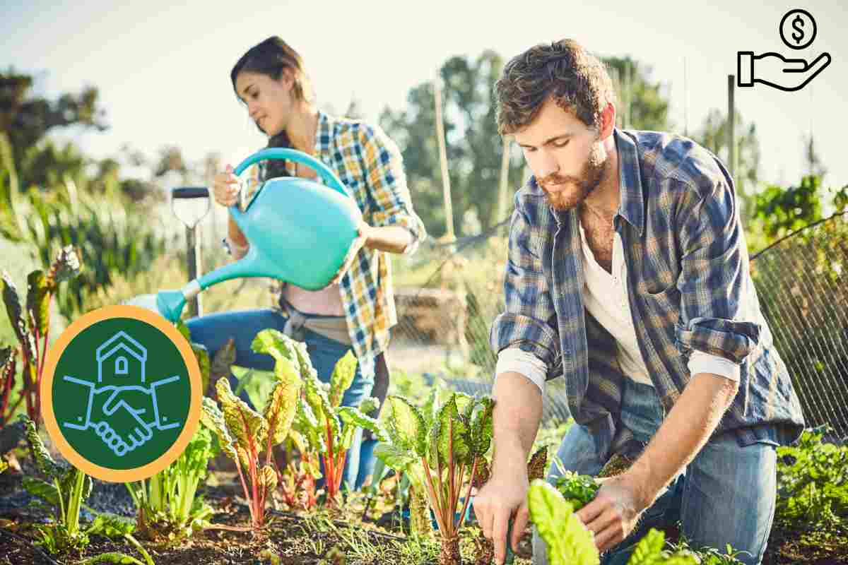 Ecco dove e perché ha ancora senso e conviene comprare un terreno agricolo