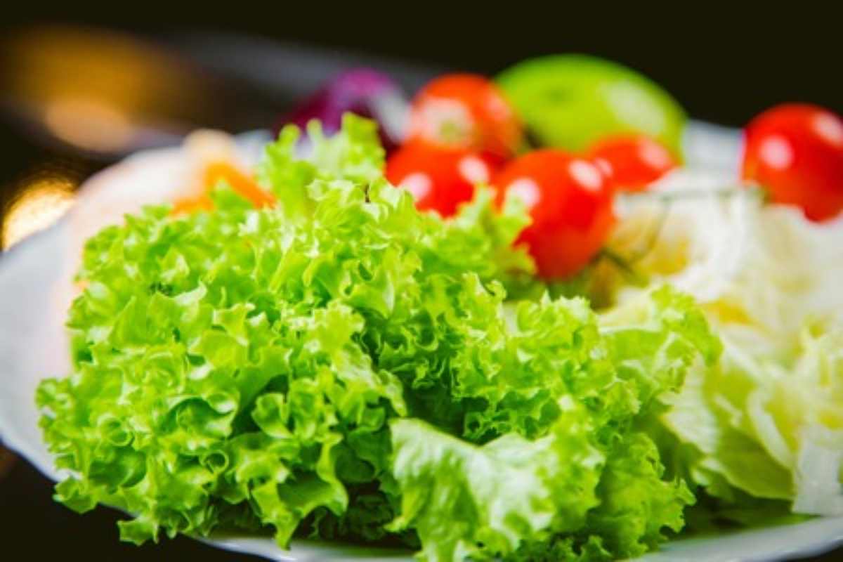 Quale insalata scegliere per la propria dieta