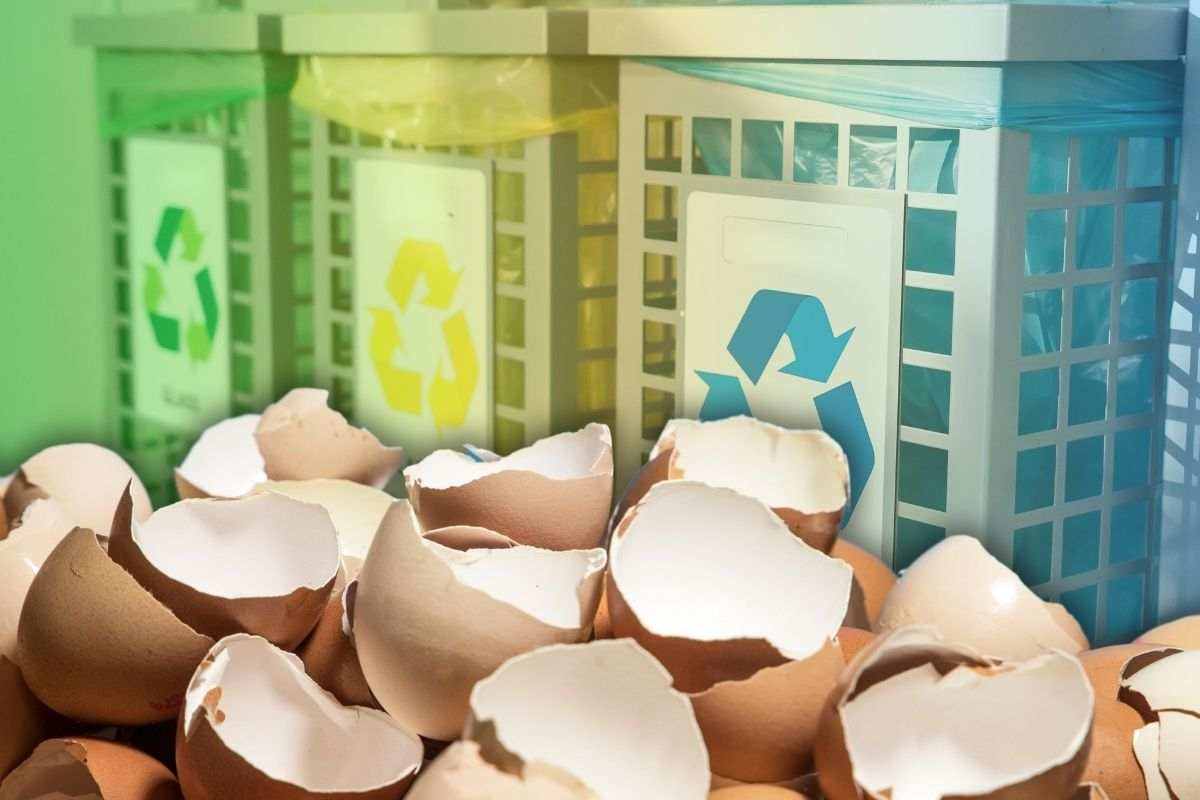 riutilizzare gusci uovo