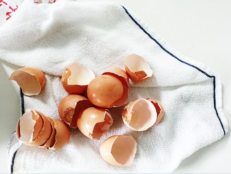 utilizzi gusci uovo casa