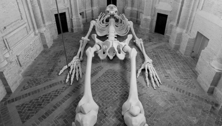 gigantesco scheletro in italia
