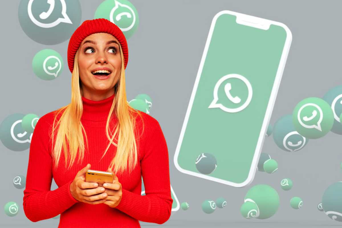 Whatsapp novità barra di ricerca